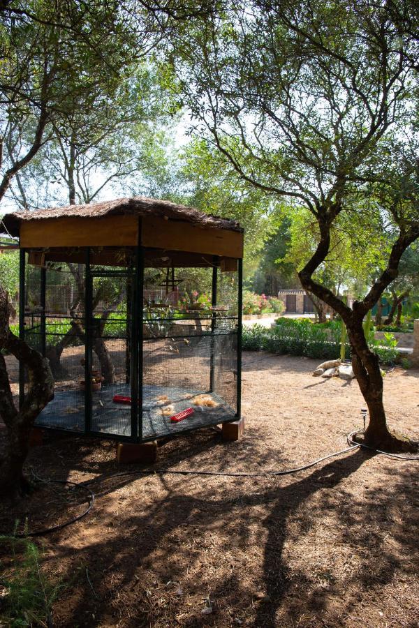 Casa Caramelo Villa Medina-Sidonia Bagian luar foto